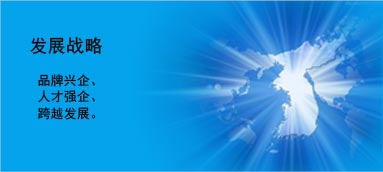 發(fā)展戰(zhàn)略 發(fā)展戰(zhàn)略